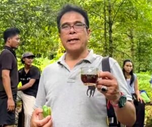 Erdi Surbakti Ajak Bangkitkan Kejayaan Pala: Komoditas yang Dulu Diperebutkan Dunia